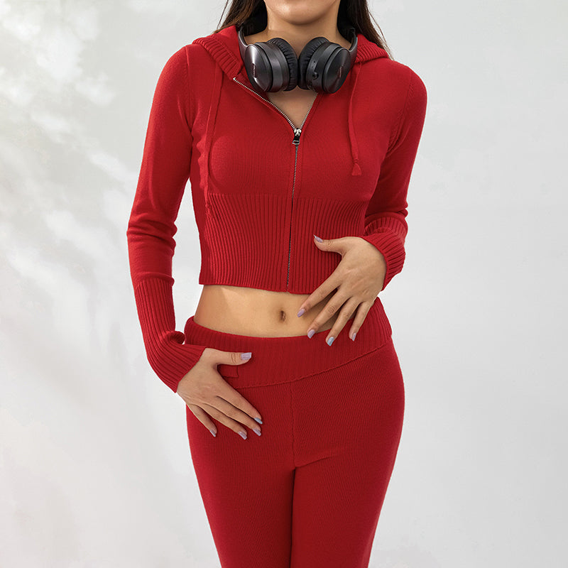 Hoodie Suit Women Leisure Sexy Zip Long Sleeve Sweater And High Waist Long Pants Set